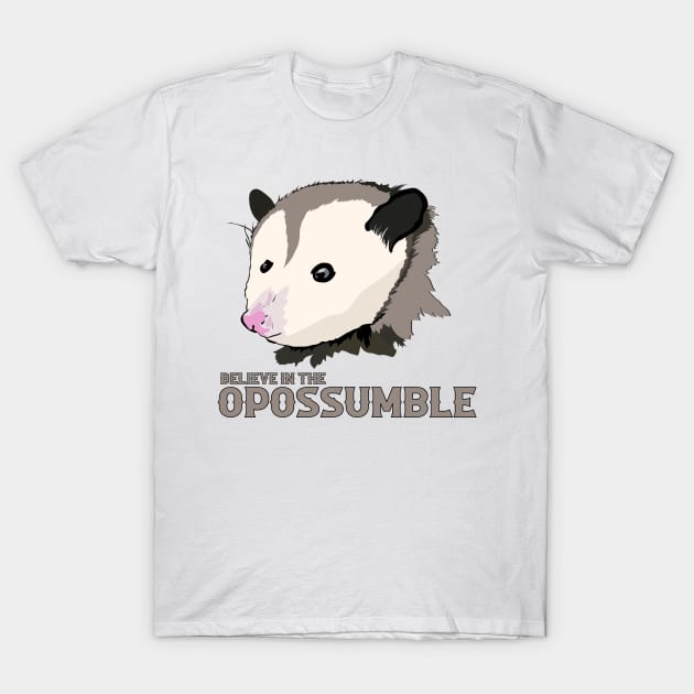 Believe in the Impossible Motivational Possum T-Shirt by Punderstandable